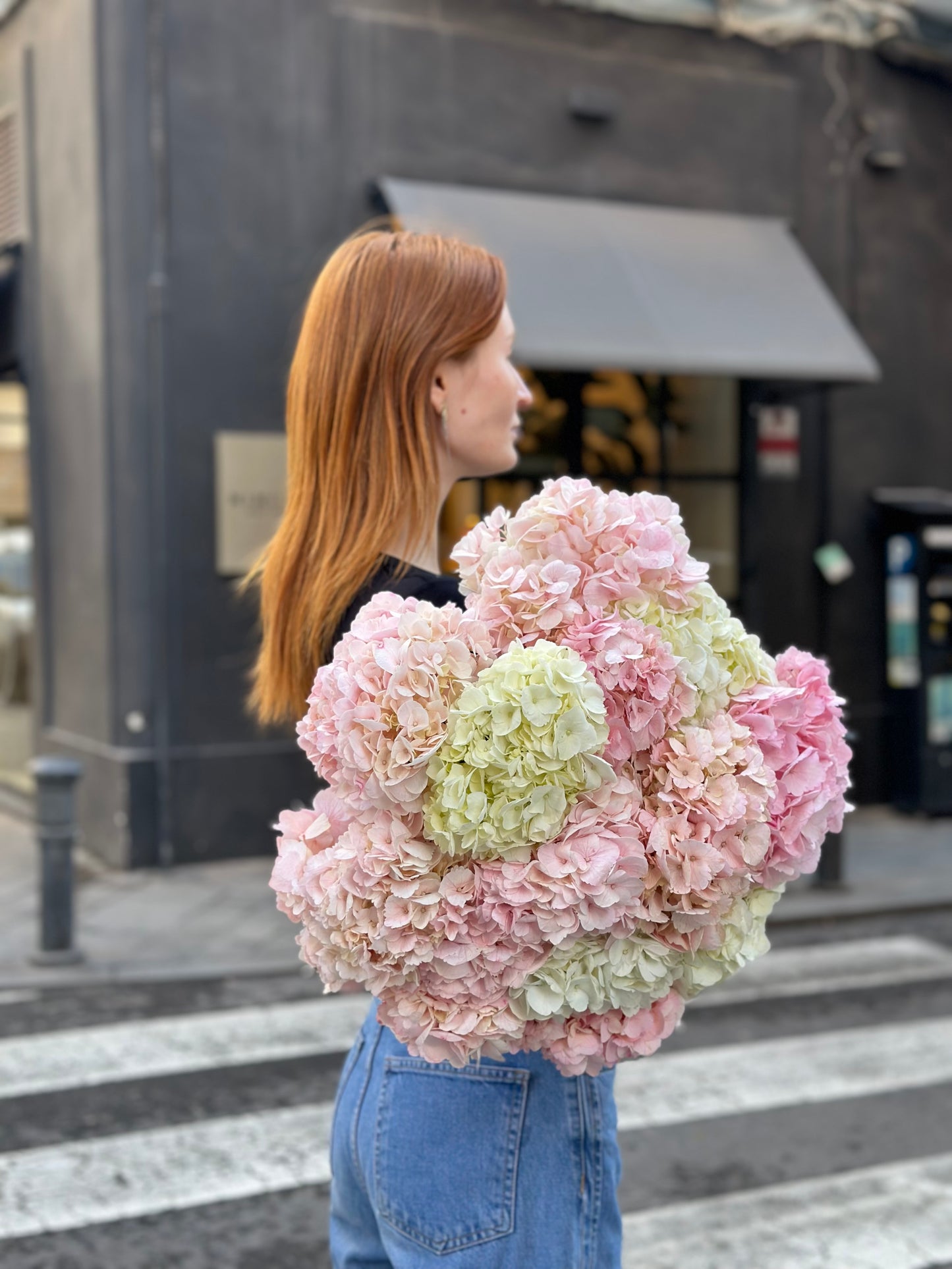 Classic Hydrangea Charm