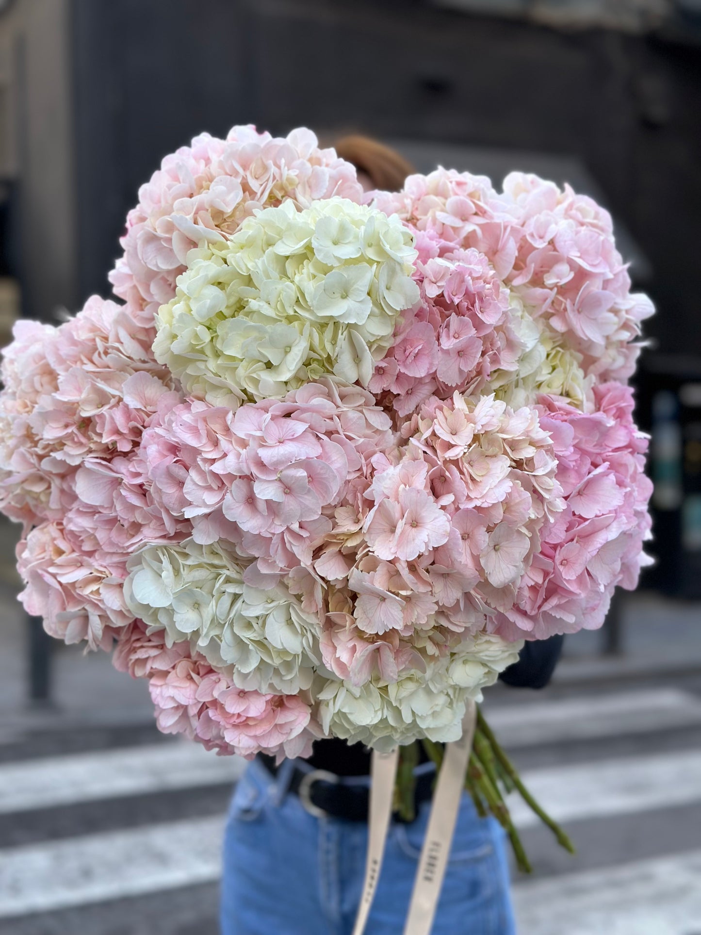 Classic Hydrangea Charm