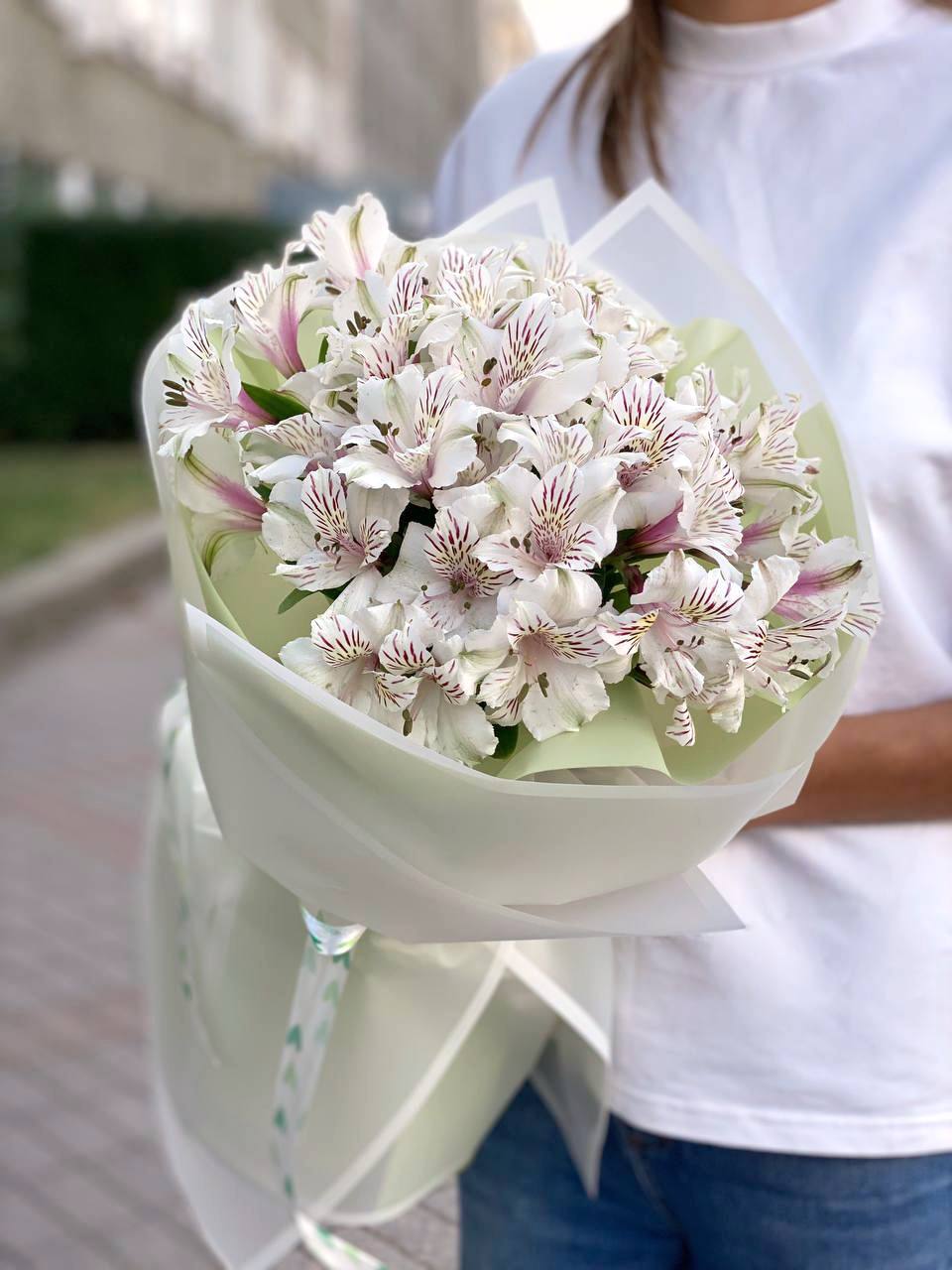 Alstroemeria