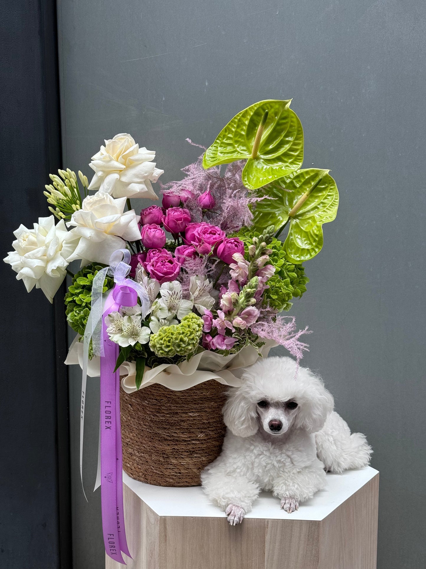 Flower Fantasy Box - Florex