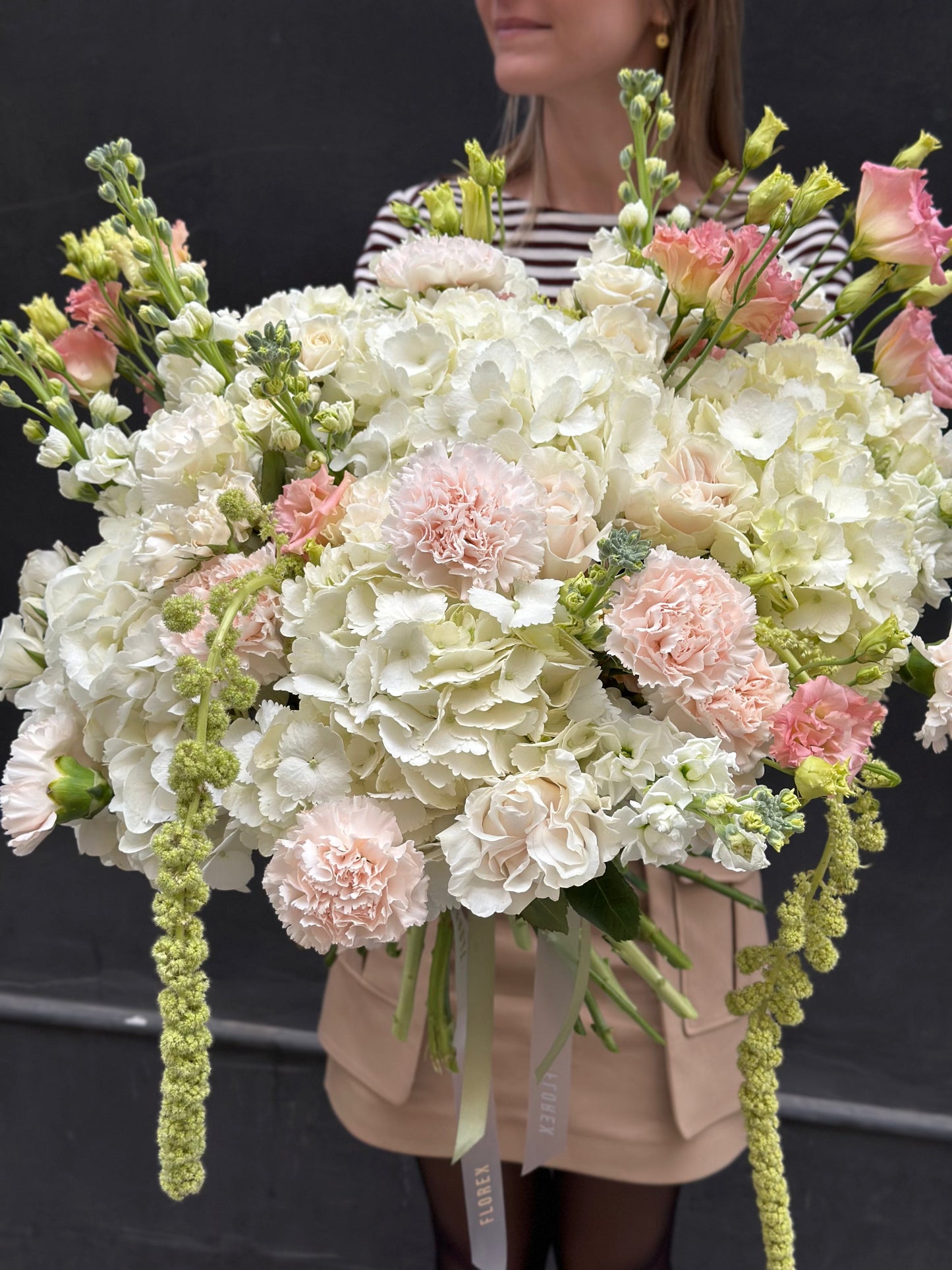 Hydrangea Bliss - Florex