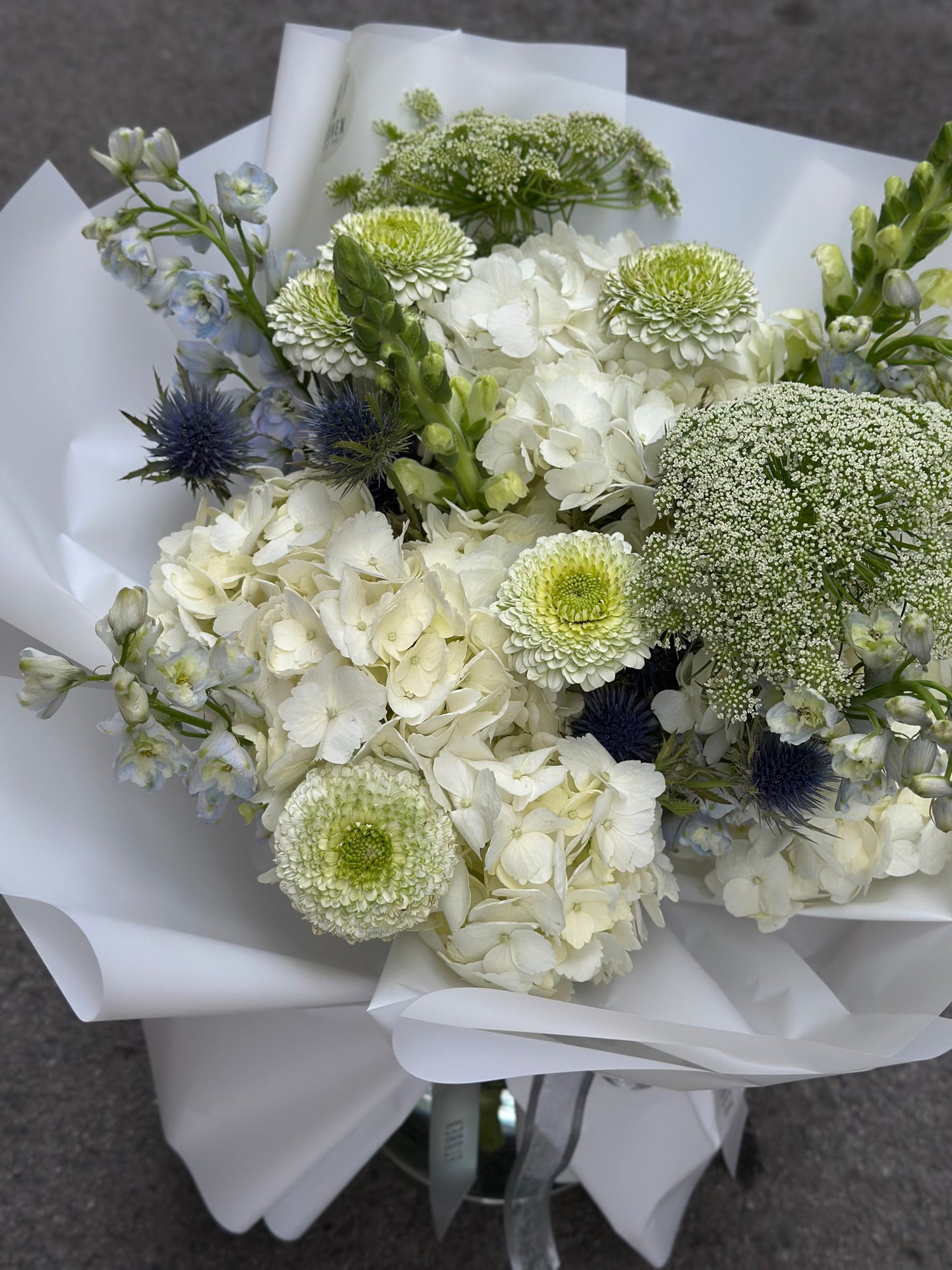 Floral Rhapsody - Florex