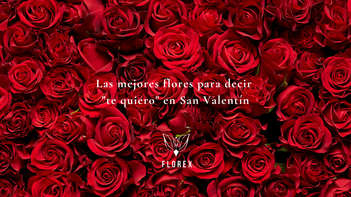 San Valentín