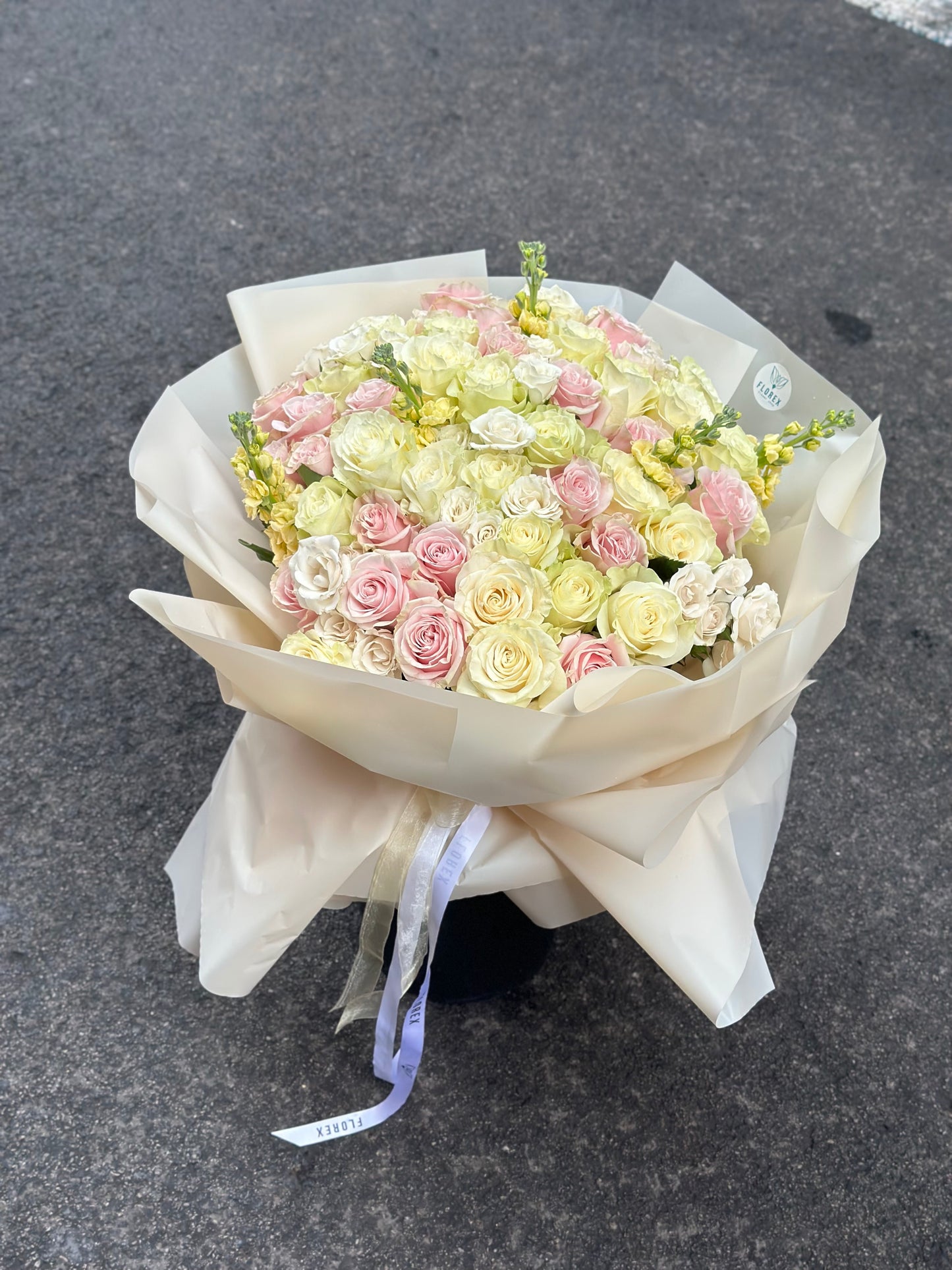 Florex Signature Roses XL
