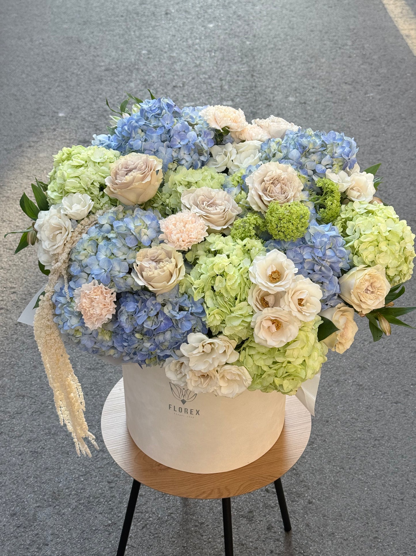 Florex Atelier XL