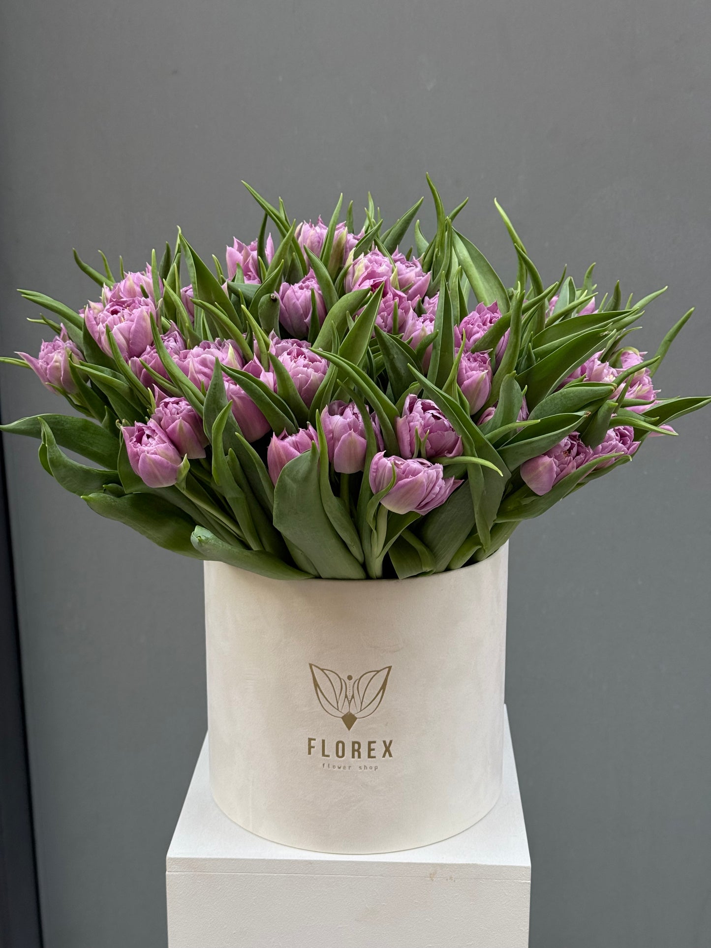 Bouquet of Lavender Tulips in Box