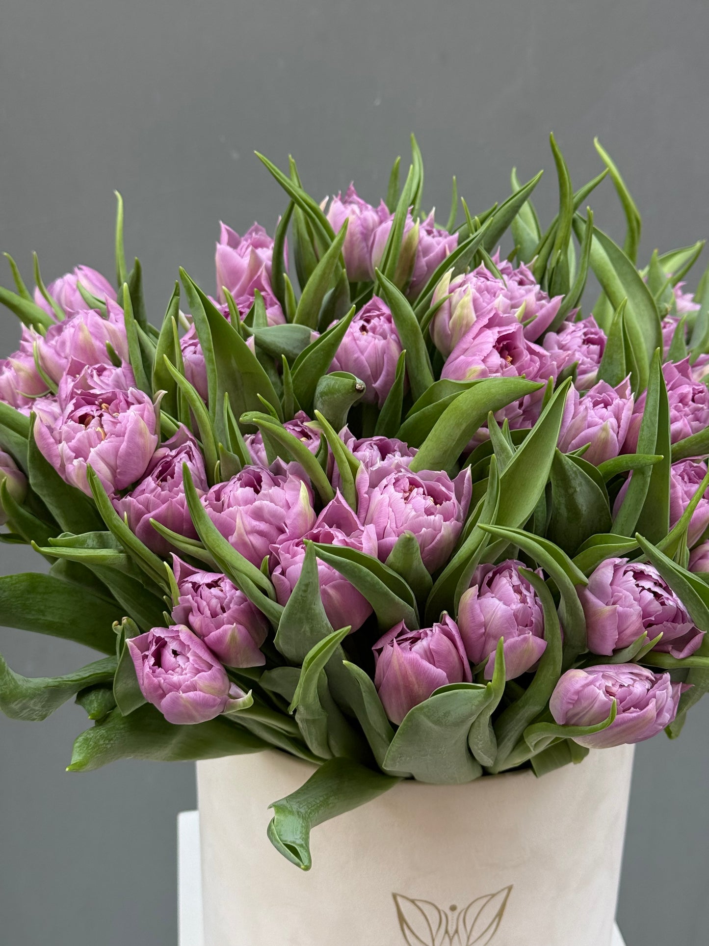 Bouquet of Lavender Tulips in Box