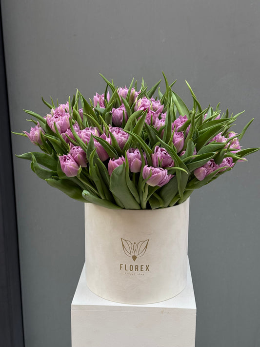 Bouquet of Lavender Tulips in Box