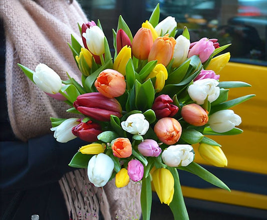 Tulips Mix