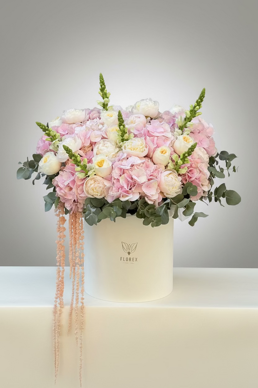 Florex Summer Signature XL Box I