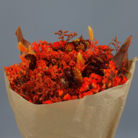 Bouquet Trade Naranja Dried / Secas
