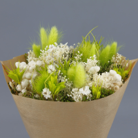 Bouquet Wow Verde Claro Dried / Secas