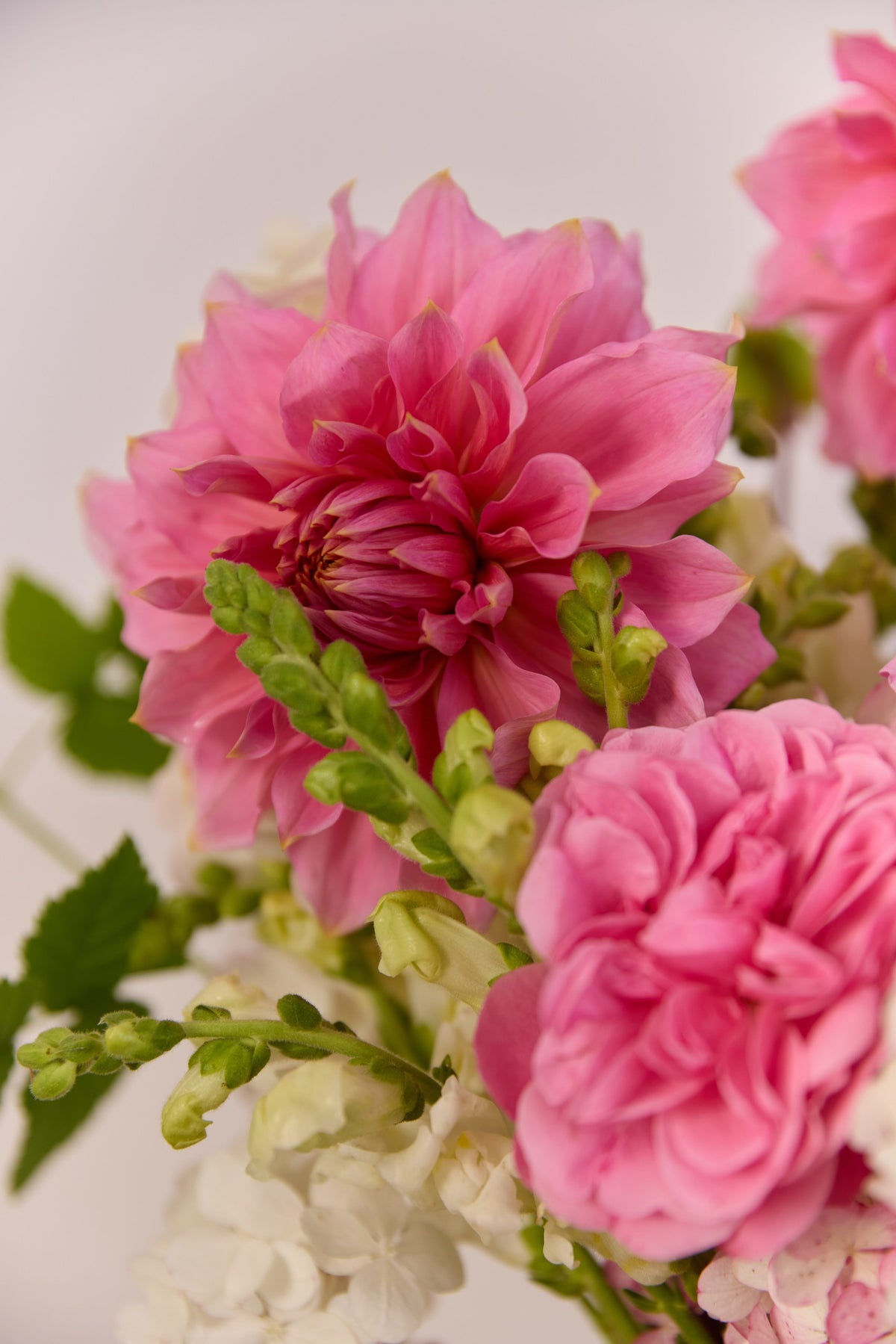 Dalia Rosé · Авторский букет