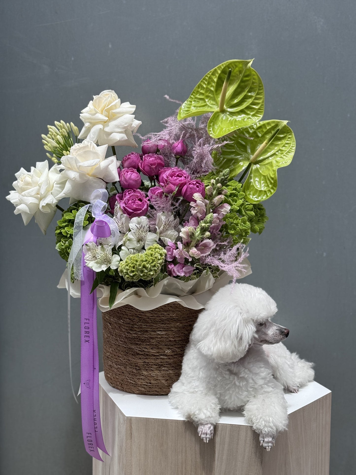 Flower Fantasy Box - Florex