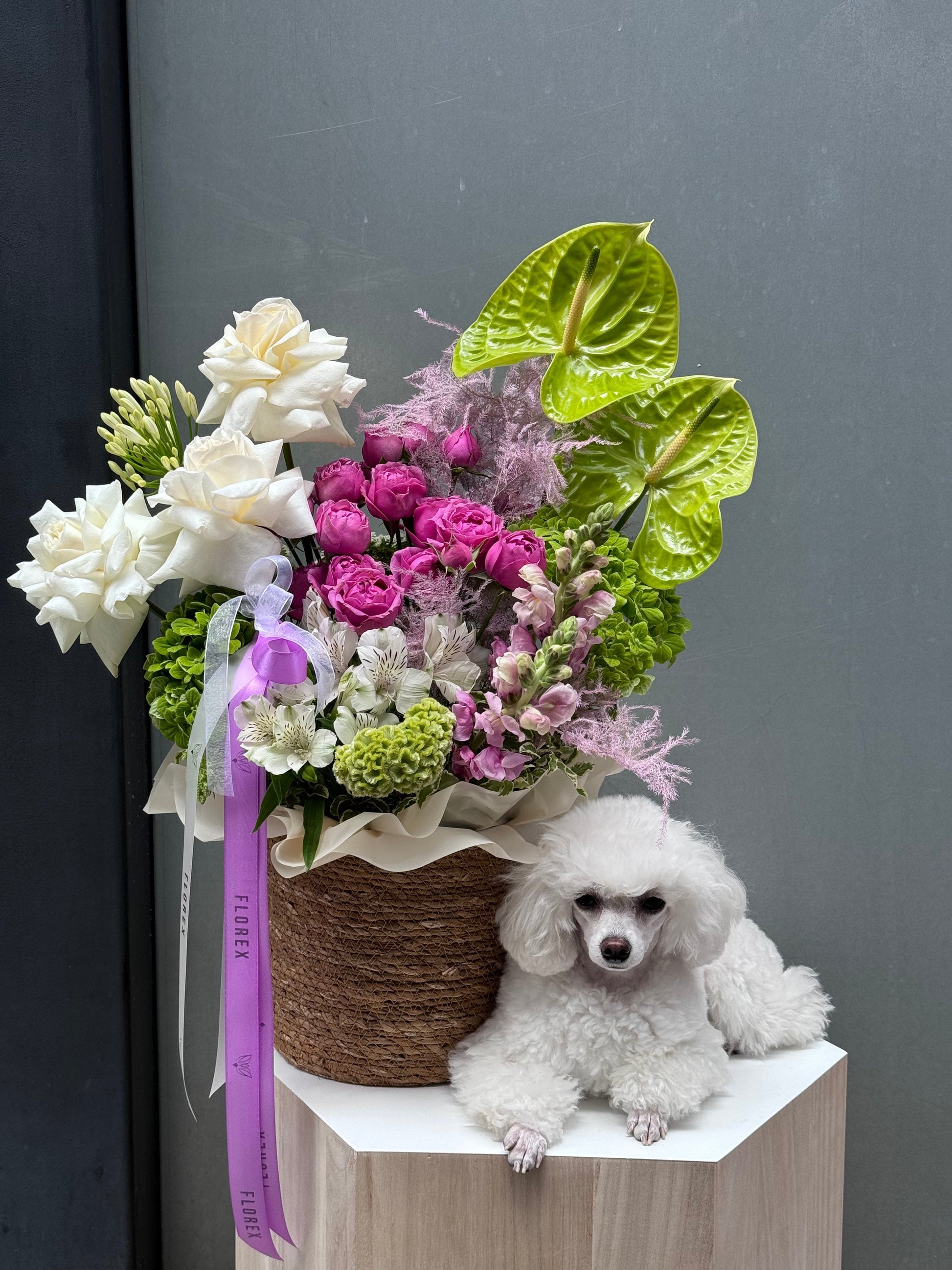 Flower Fantasy Box - Florex