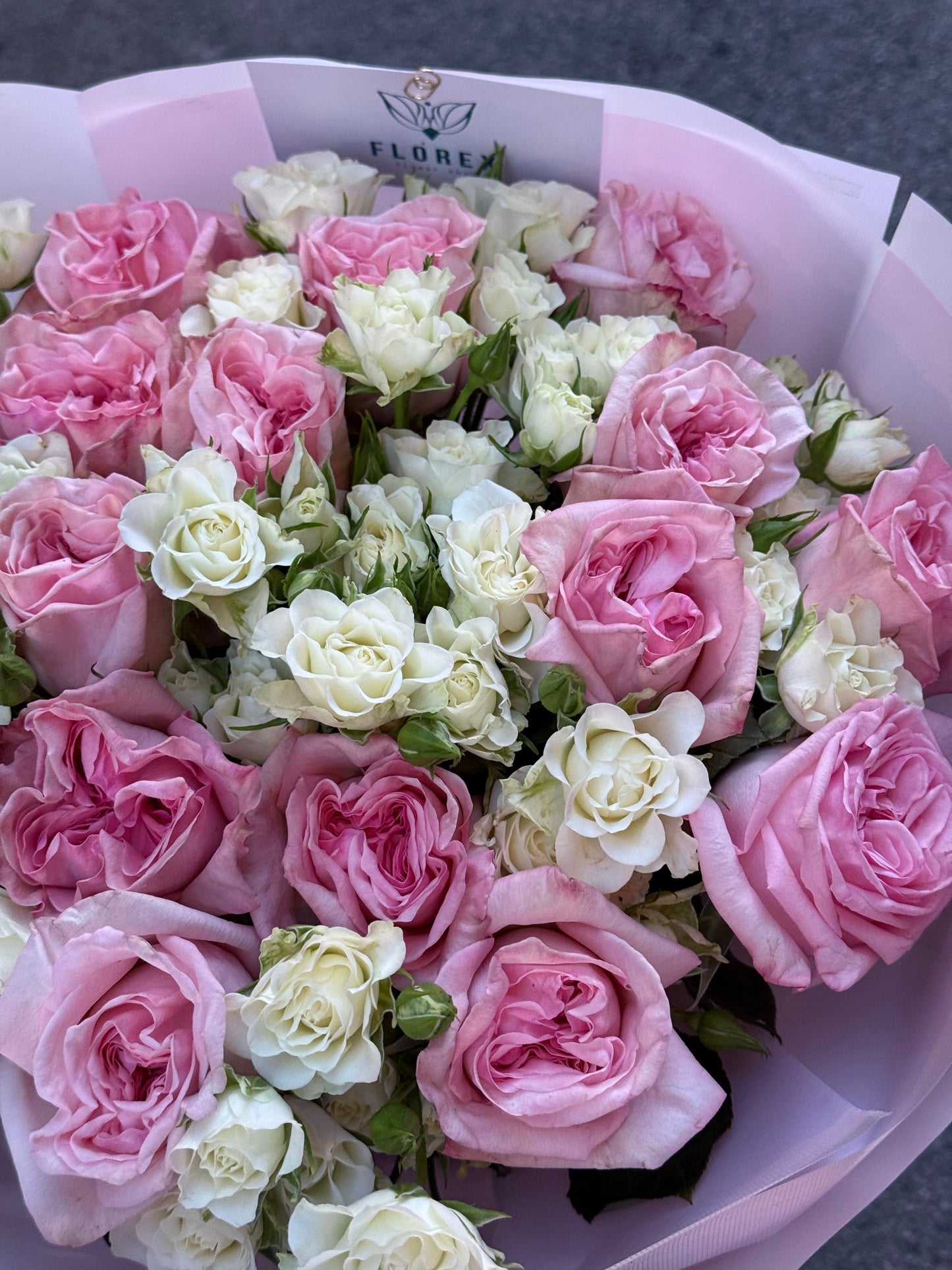 Pure Elegance - Florex
