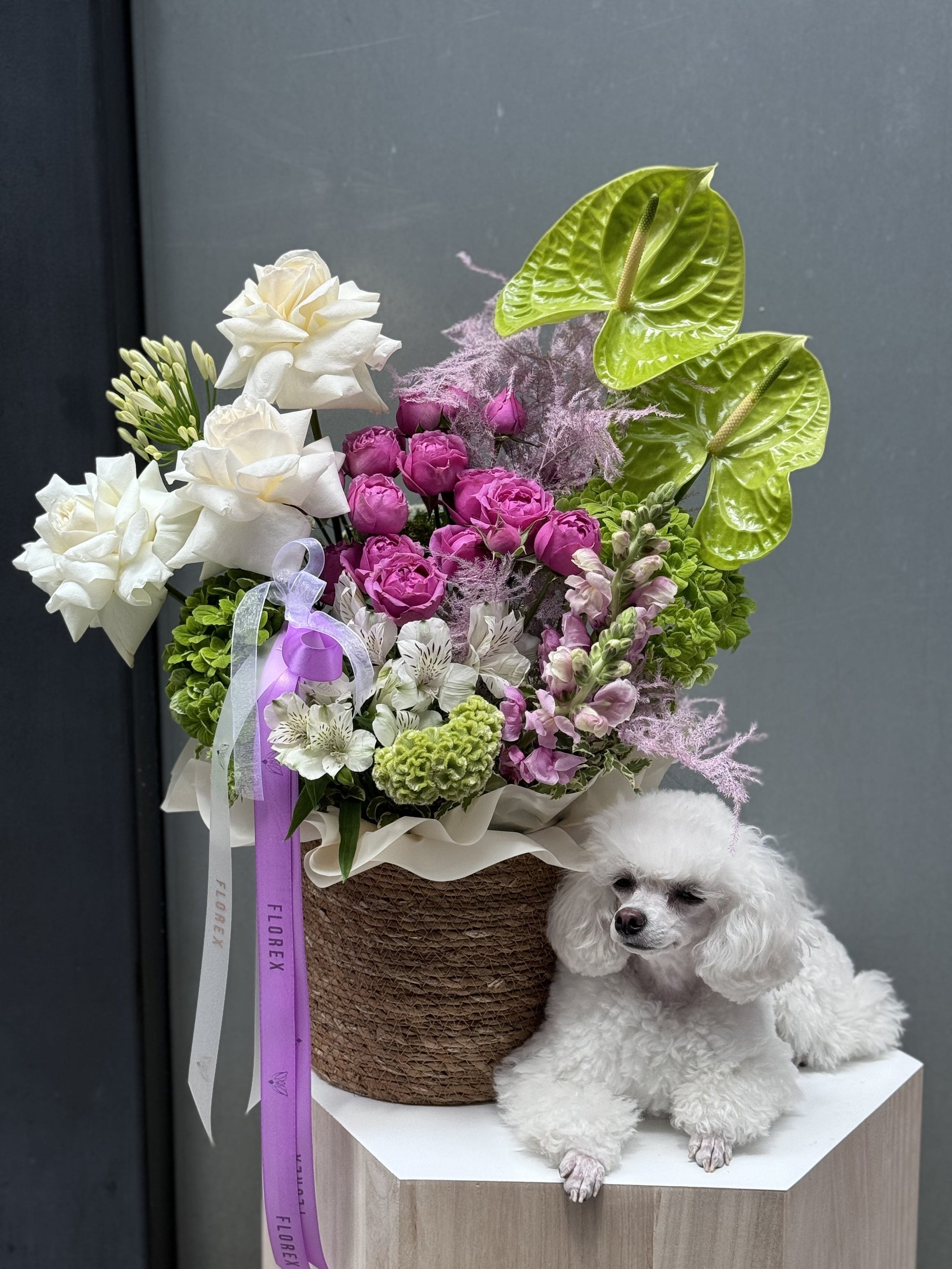 Flower Fantasy Box - Florex